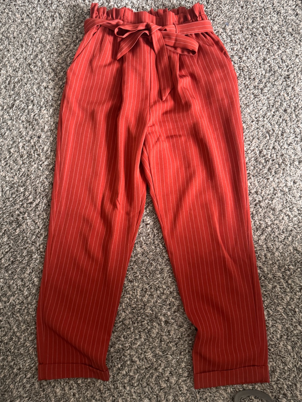 Sienna Sky Rust Red Pinstripe Pants